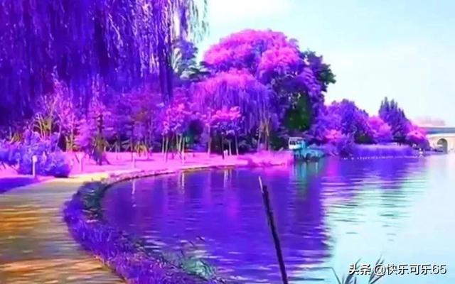 芭比的电影灵感